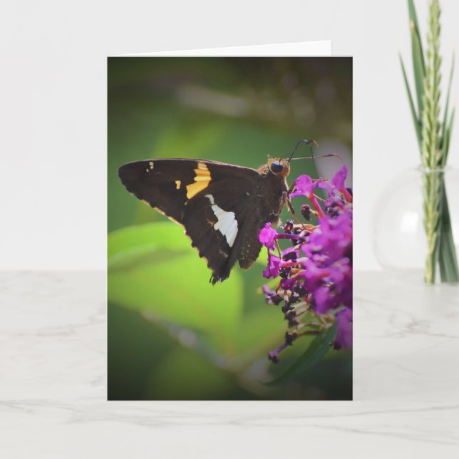 Butterfly, card (Front)