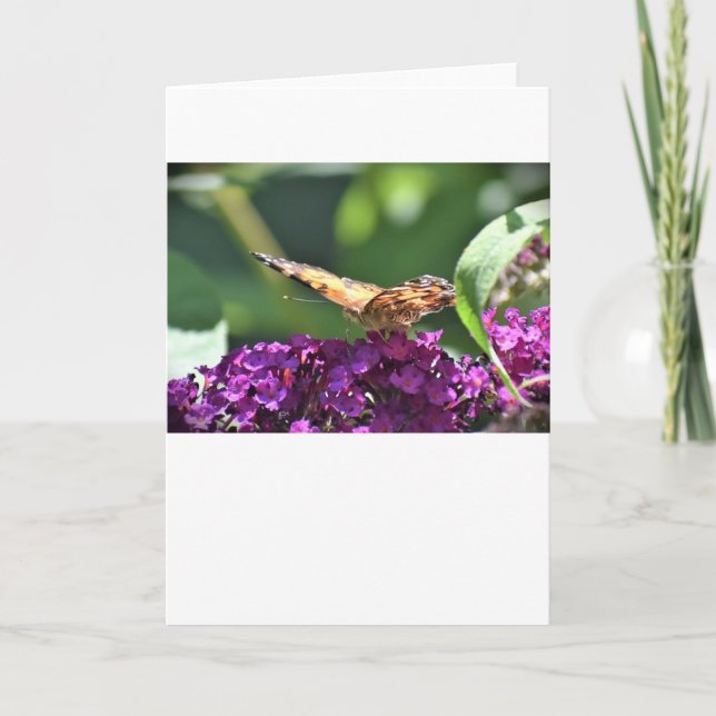 Butterfly, card (Front)