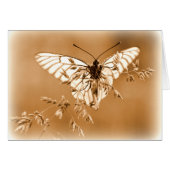 Butterfly Card (Front Horizontal)