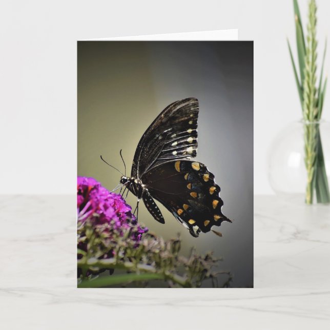 Butterfly, card (Front)