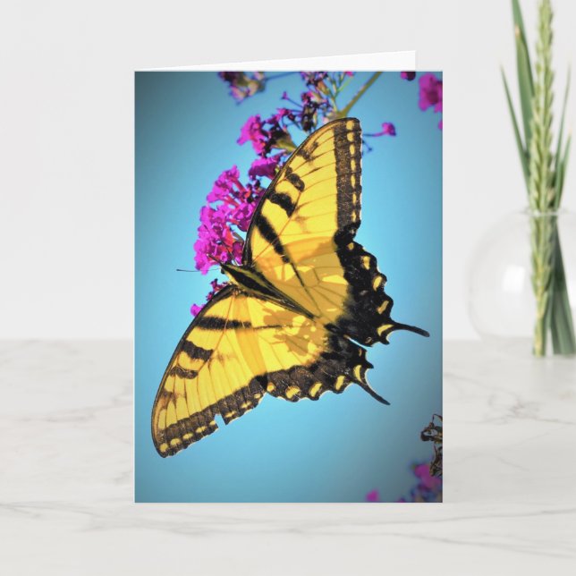 Butterfly, card (Front)