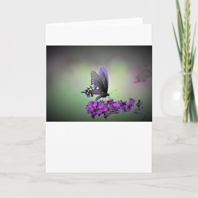 Butterfly, card (Front)