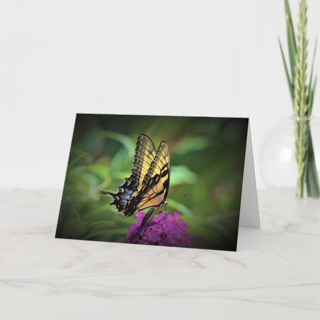 Butterfly, card (Front)