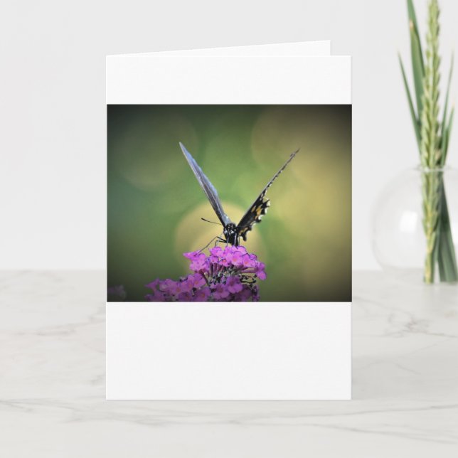 Butterfly, card (Front)