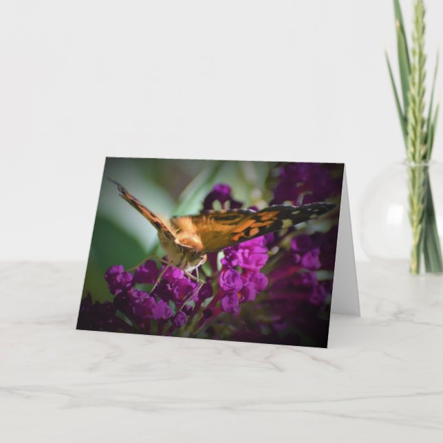 Butterfly, card (Front)