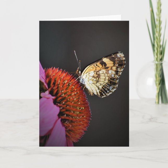 Butterfly, card (Front)