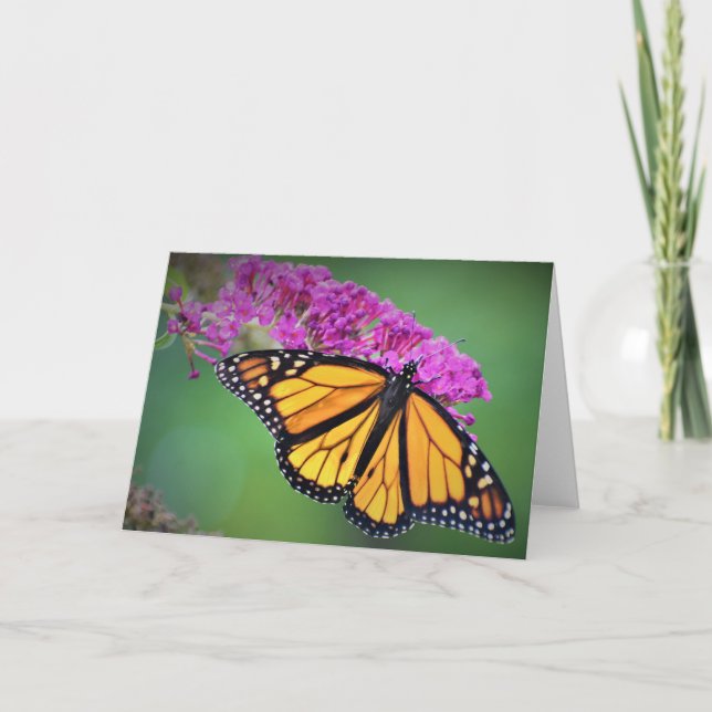 Butterfly, card (Front)