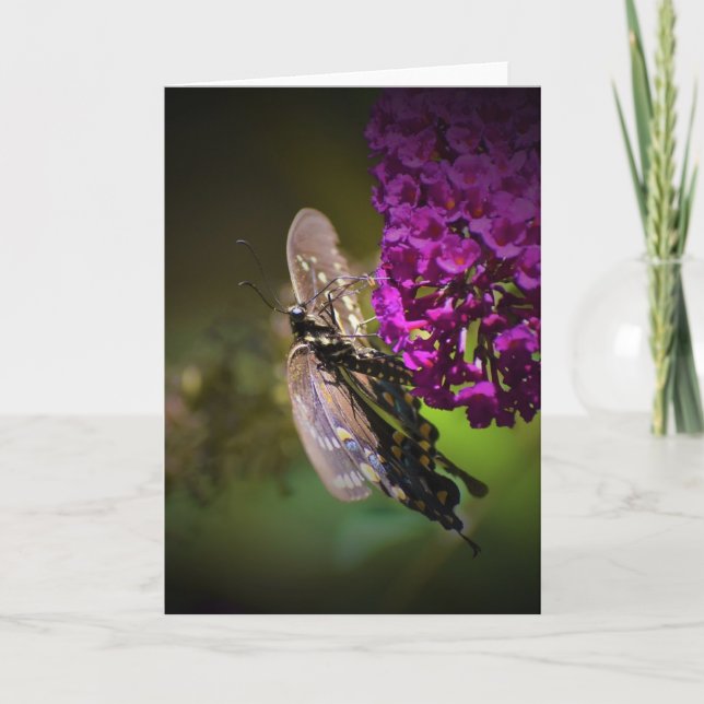 Butterfly, card (Front)