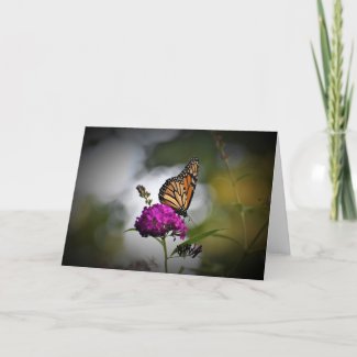 Butterfly, card