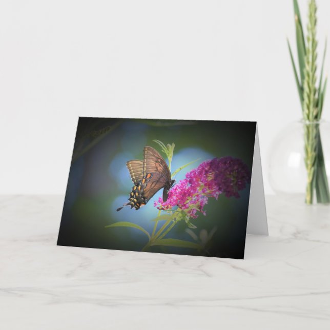 Butterfly, card (Front)