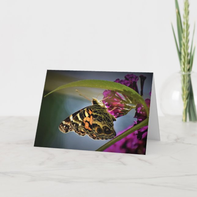 Butterfly, card (Front)