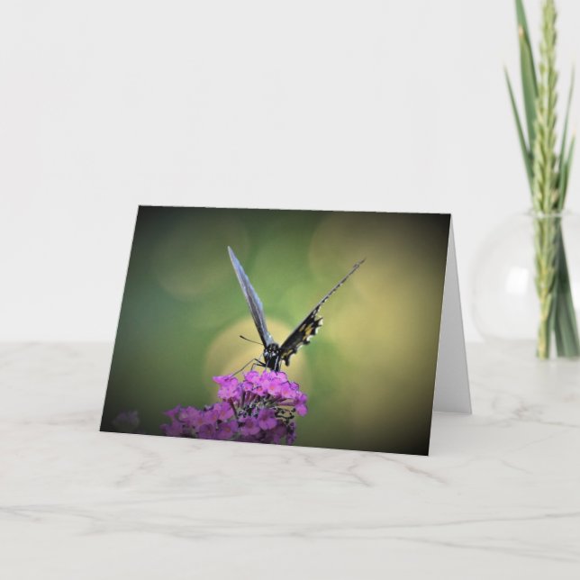 Butterfly, card (Front)