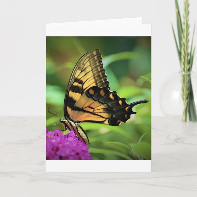 Butterfly, card (Front)