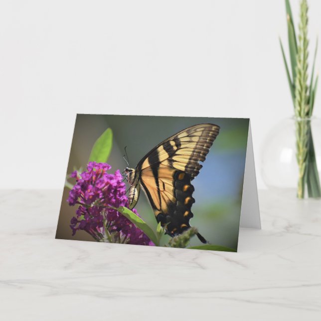 Butterfly, card (Front)