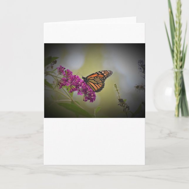 Butterfly, card (Front)