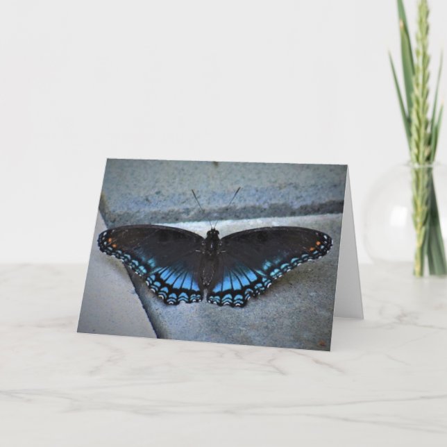 Butterfly, card (Front)
