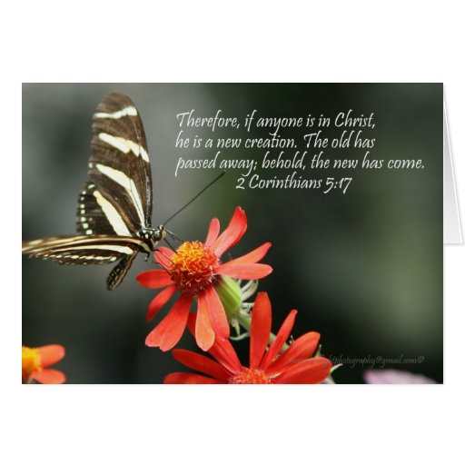 Butterfly Bible Quotes. QuotesGram