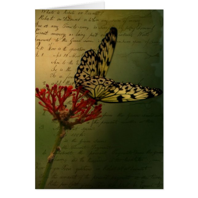 Butterfly Cards (Front)