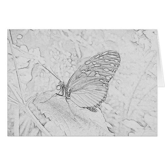 Butterfly Cards (Front Horizontal)