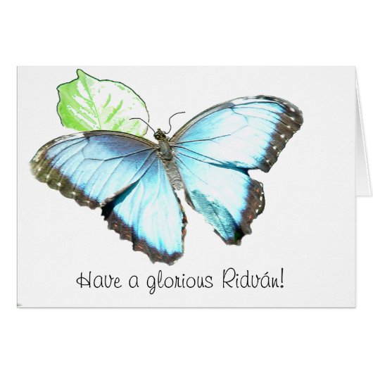 Butterfly Cards (Front Horizontal)