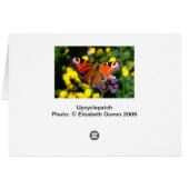 Butterfly Cards (Back Horizontal)