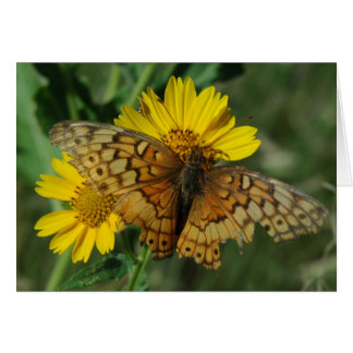BUTTERFLY CARDS