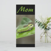 Butterfly Caterpillar Larva (Standing Front)