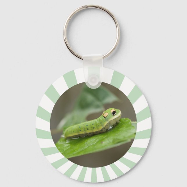 Butterfly Caterpillar Larva Keychain (Front)