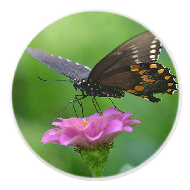 Butterfly Ceramic Knob (Front)