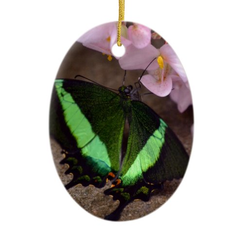 Butterfly Ceramic Ornament