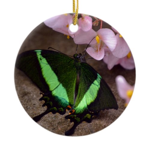 Butterfly Ceramic Ornament