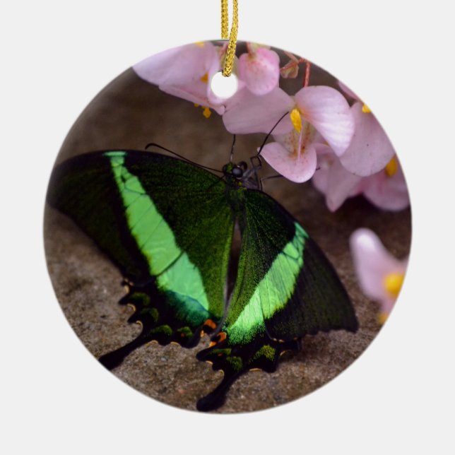 Butterfly Ceramic Ornament (Front)