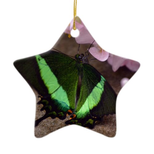 Butterfly Ceramic Ornament