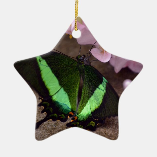 Butterfly Ceramic Ornament (Front)