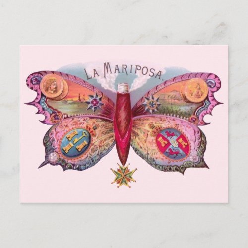 Butterfly Cigar Antique Painting Advertising Postcard