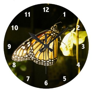 Butterflies Clock