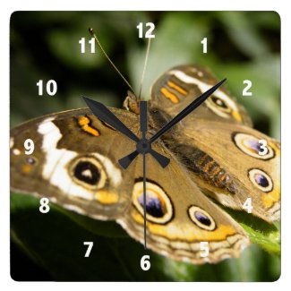 Butterfly wall Clock