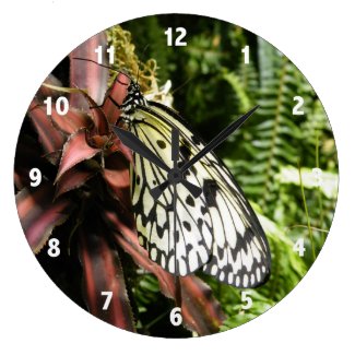 Butterfly Clocks