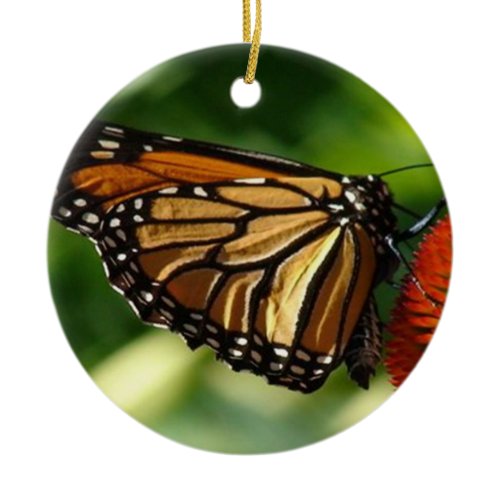 Butterfly close up ceramic ornament