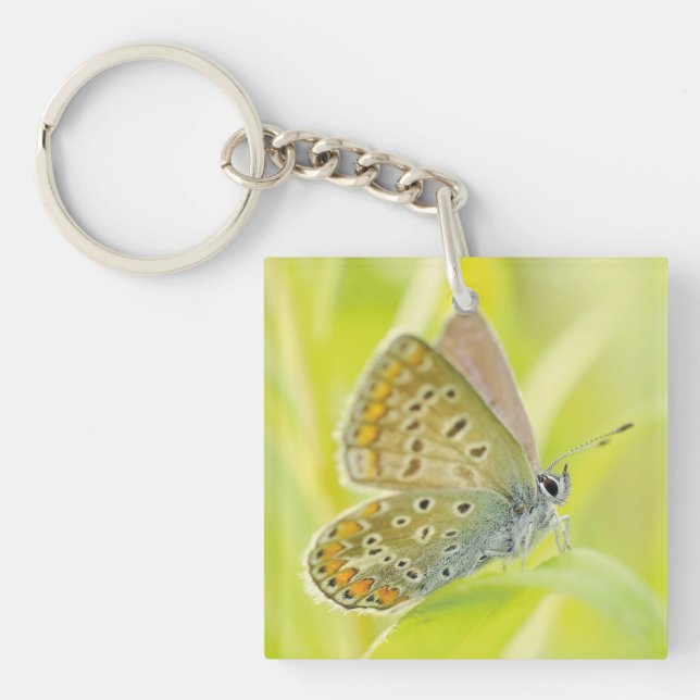 Butterfly Close-Up Keychain (Front)