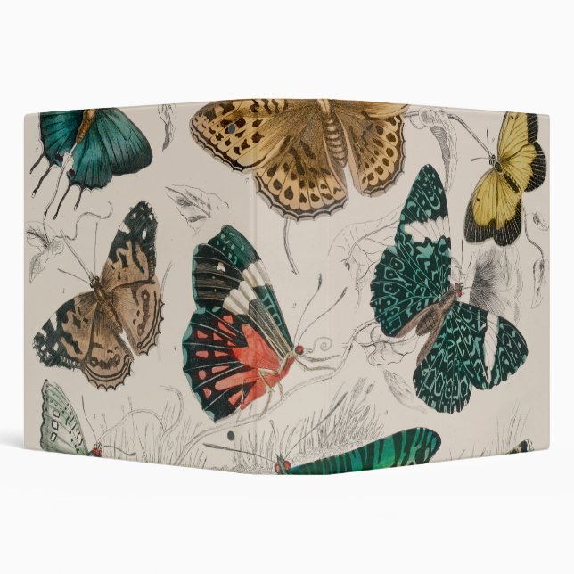 Butterfly Collection Antique Butterflies 3 Ring Binder (Background)