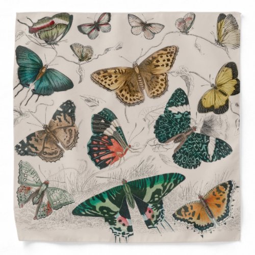 Butterfly Collection Antique Butterflies Bandana