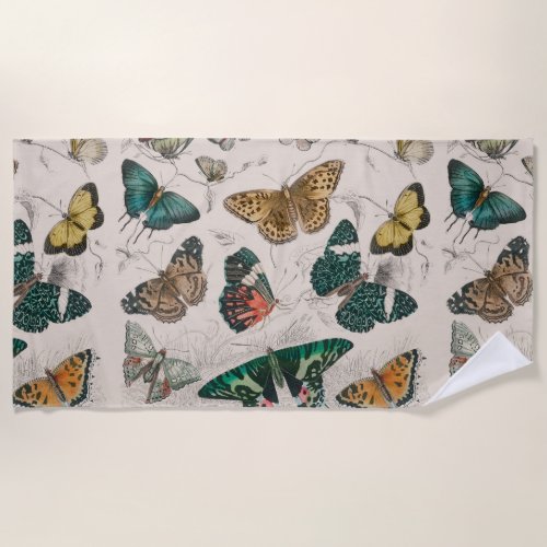 Butterfly Collection Antique Butterflies Beach Towel