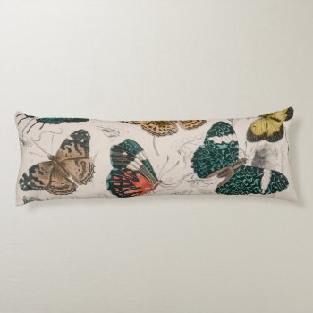 Butterfly Collection Antique Butterflies Body Pillow by antiqueart at Zazzle