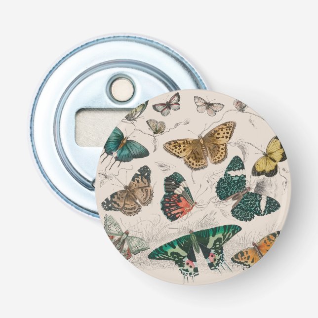 Butterfly Collection Antique Butterflies Bottle Opener (Front)