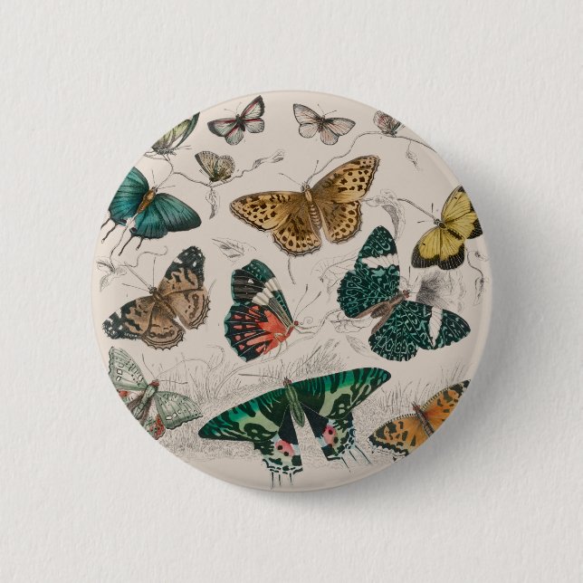 Butterfly Collection Antique Butterflies Button (Front)