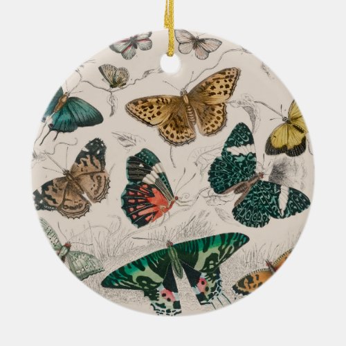 Butterfly Collection Antique Butterflies Ceramic Ornament