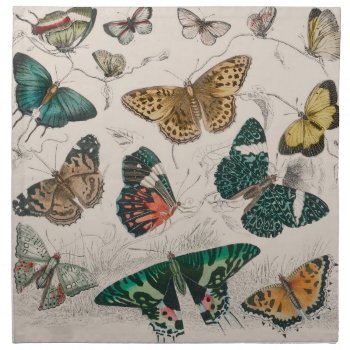 Butterfly Collection Antique Butterflies Cloth Napkin by antiqueart at Zazzle