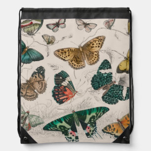 Butterfly Collection Antique Butterflies Drawstring Bag