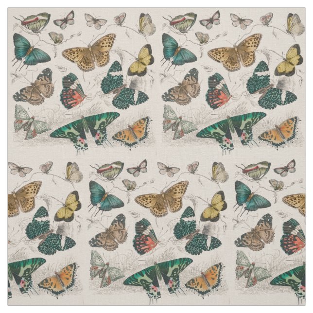 Butterfly Collection Antique Butterflies Fabric (Swatch)